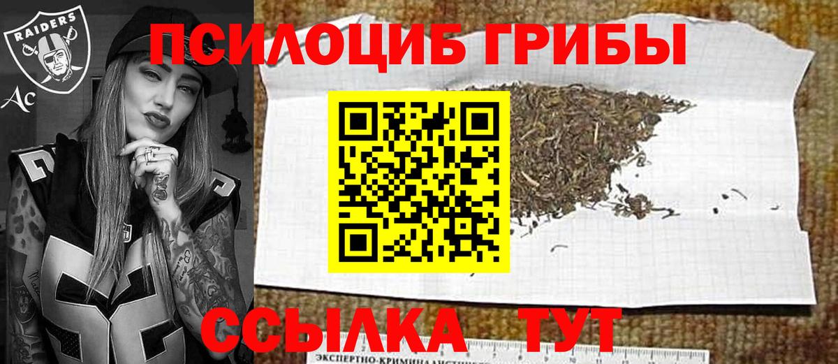 Псилоцибиновые грибы Psilocybe  Вход с VPN  купить наркоту  Сургут  Галлюциногенные грибы прущие грибы 