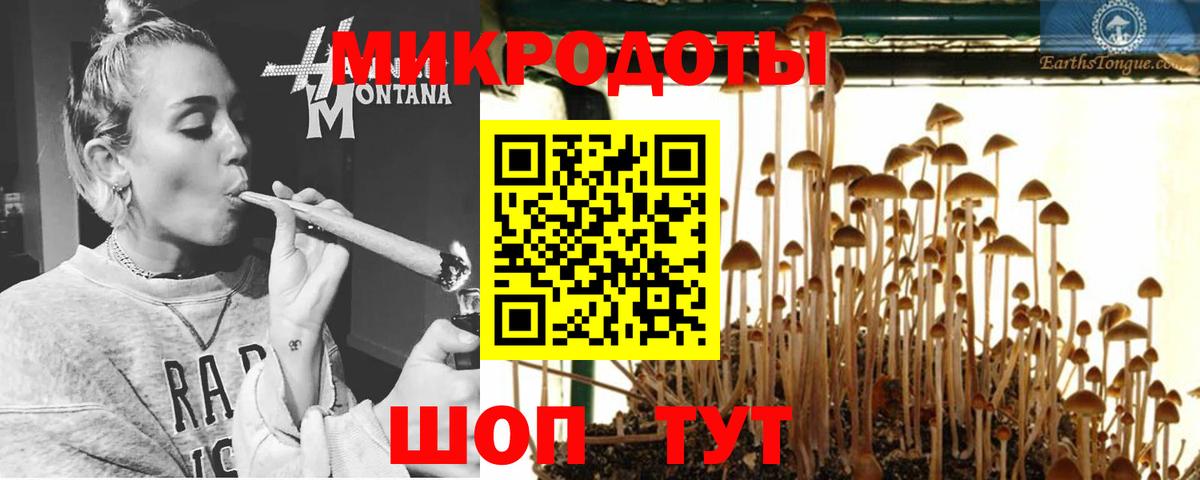 Псилоцибиновые грибы мухоморы Сургут